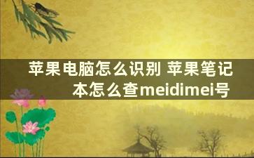 苹果电脑怎么识别 苹果笔记本怎么查meidimei号